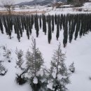 더아이랑펜션 이미지