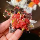 육회본가 우두점 이미지