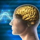 하나과학(주) 이미지