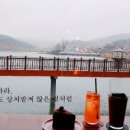 포레스트152