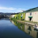 (주)나이스관광 이미지