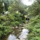 들림집 | [원주 계곡 백숙맛집]들림집 예약,후기