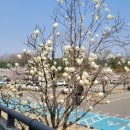 (주)핀타운 이미지