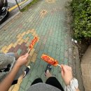 9. 여름이 간다