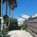 애월 쉴만한 물가 이미지