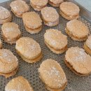 피노키오제과 | 서면제과학원 아무것도 몰랐던 사람이 제과학원 다닌 솔직 후기