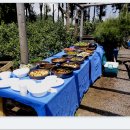 반디농장 이미지