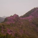 여수M 이미지