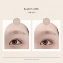 라베느래쉬