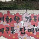 매산큰길 이미지