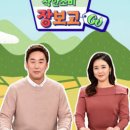 선이네식당 이미지