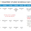 마인드풀스터디 이미지