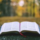 성경 읽기에 도움이 되는 성경 그룹별 특징 - 권영진 목사 이미지