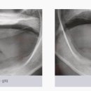 미소치과의원 이미지