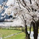 중부-현장-중부-906 이미지