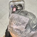 해운대 장산역 미용실, 아이 머리 복구매직 유명한 헤어샵 [헤어그린] 리안원장님 새치염색 솔직후기