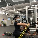 지엘비 | 지엘핏 다이어트와 함께하는 건강한 다이어트