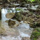 병옥농장 이미지