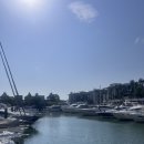 마린리치 | 푸켓 피피섬투어_몽키트래블 크리스탈 씨마린 후기