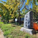 분지농장 이미지