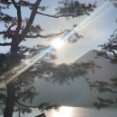 사계절호스텔 | 레이크앤마운틴 🍕 월악산유스호스텔 카페 저녁 피자 조식 메뉴