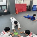 용인대석사꿈나무태권도체육관 | 병점유도관 더썬유도관의 신나는 초등부타임!