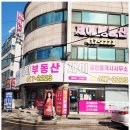 제이부동산중개 이미지