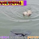 광탄레저타운 이미지