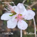 데일리24마트 영주점 | 영주 소백산 마라톤 준비 주간 기록｜3월30일~4월5일 데일리운동