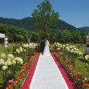 함평자연생태공원 이미지