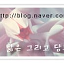 핑키와카 이미지