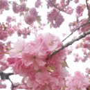 불국사관광안내소 이미지