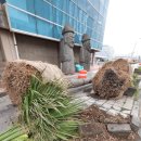 제주 와싱톤 이미지