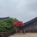 나홀로상회