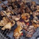 서은희농장 티스토리
