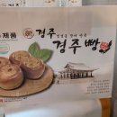 해바라기 애견 이미지