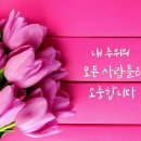 푸른뮤직 이미지
