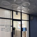 헬스방 | 하남 리듬펫헬스케어 천연 웰빙 1:1 강아지 맞춤 마사지 케어 체험 후기