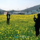 24호선 국도변 이미지