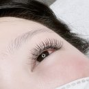 빈센트뷰티 이미지