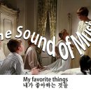 My favorite things (내가 좋아하는 것들)............ 이미지