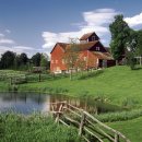 강이있는풍경 이미지