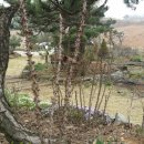 두원농장 이미지