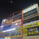 포곡로2 | 헬스장 처음 가본 사람의 PT 2번 받아본 후기 [용인 포곡 스테이피트니스]