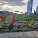 바람개비 이미지