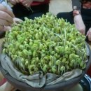 서대경로당 이미지