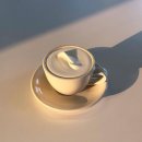 현대미학과 글쓰기 | [아뜰리에 데조] 영원한 가치, 황금빛 향수의 6가지 향기