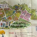 지도 왕벚나무길 이미지