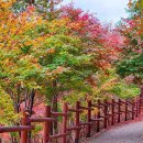 한적해서 더 좋은 가을 트레킹 명소 이미지