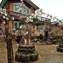 미선농장 이미지